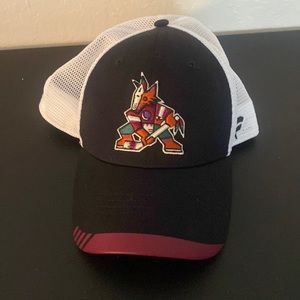 Men’s Arizona coyotes NHL fanatics hat